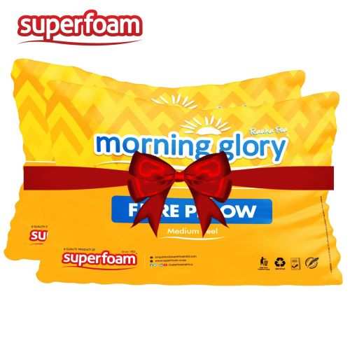 Superfoam Morning Glory Fiber Pillow - 2 Pack